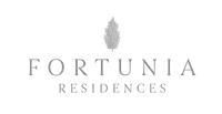 logo-developer