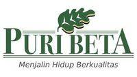 logo-developer