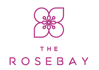 logo-developer