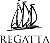 logo-developer