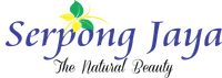 logo-developer