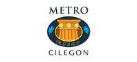 logo-developer