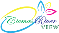 logo-developer
