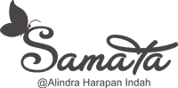 logo-developer