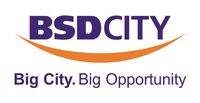 logo-developer