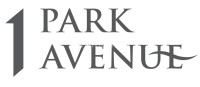 logo-developer