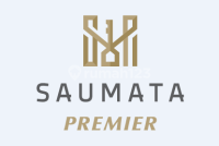 logo-developer