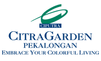 logo-developer
