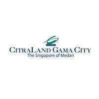 logo-developer