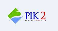 logo-developer