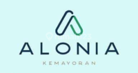 logo-developer