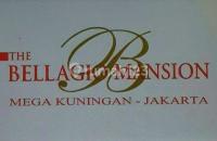 logo-developer