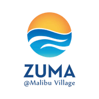 logo-developer