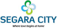 logo-developer