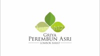 logo-developer