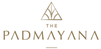 logo-developer