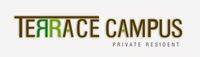 logo-developer