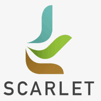 logo-developer