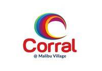 logo-developer