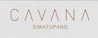 logo-developer