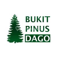 logo-developer