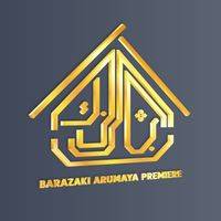 logo-developer