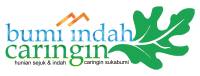 logo-developer