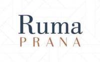 logo-developer