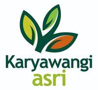 logo-developer