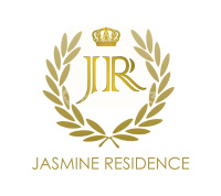 logo-developer