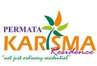 logo-developer