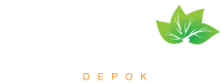 logo-developer