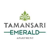 logo-developer