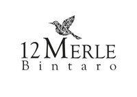logo-developer