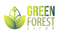 logo-developer