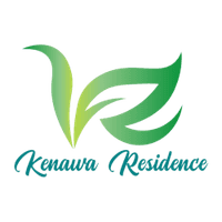 logo-developer