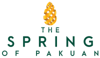 logo-developer