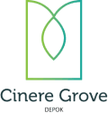 logo-developer