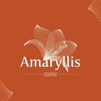logo-developer