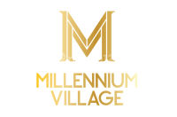 logo-developer