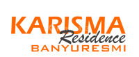 logo-developer