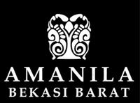logo-developer