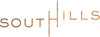 logo-developer
