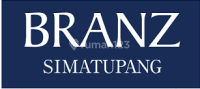 logo-developer