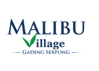 logo-developer