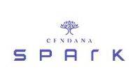 logo-developer