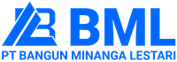 logo-developer