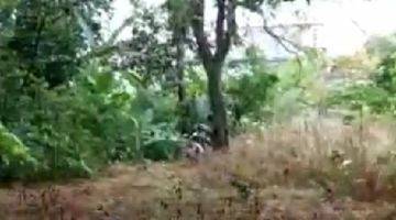 foto lainnya kavling perumahan di cinangka, sawangan