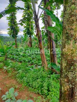Tanah dijual