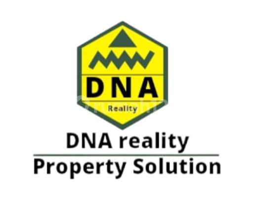 DNA Realty